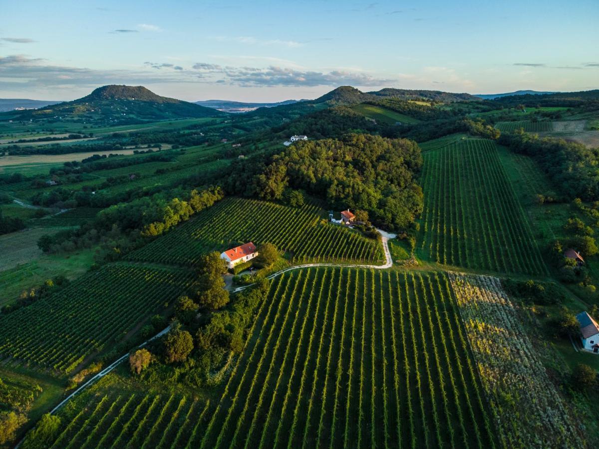 Kali Panorama Birtok Βίλα Mindszentkálla Εξωτερικό φωτογραφία